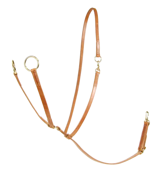 Big Ring Martingale with Sliding Neckstrap – Al Dunning Collection by Schutz Brothers | Al Dunning