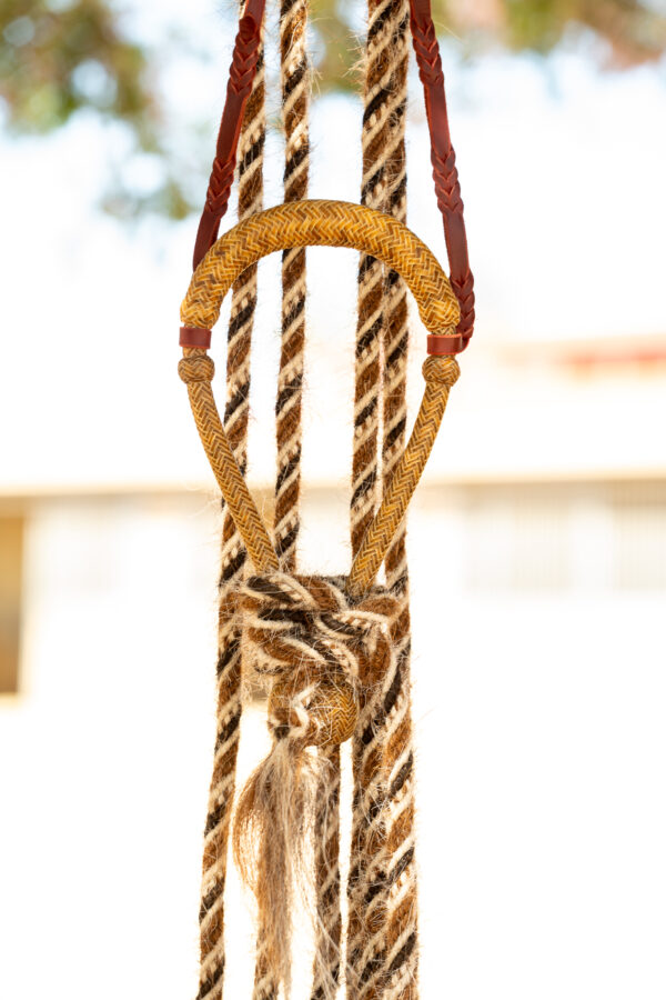 うらしま堂　the custom rawhide Western Braiders Rawhide Hackamore Set | Al Dunning