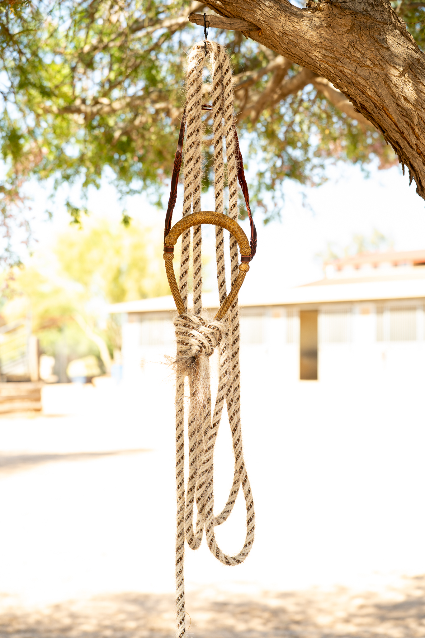 うらしま堂　the custom rawhide Rawhide hackamore complete set up — The Old Spanish Trading