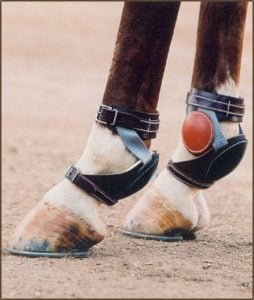 J Bar W Ranch Leather Skid Boots with Ankle Protectors | Al Dunning