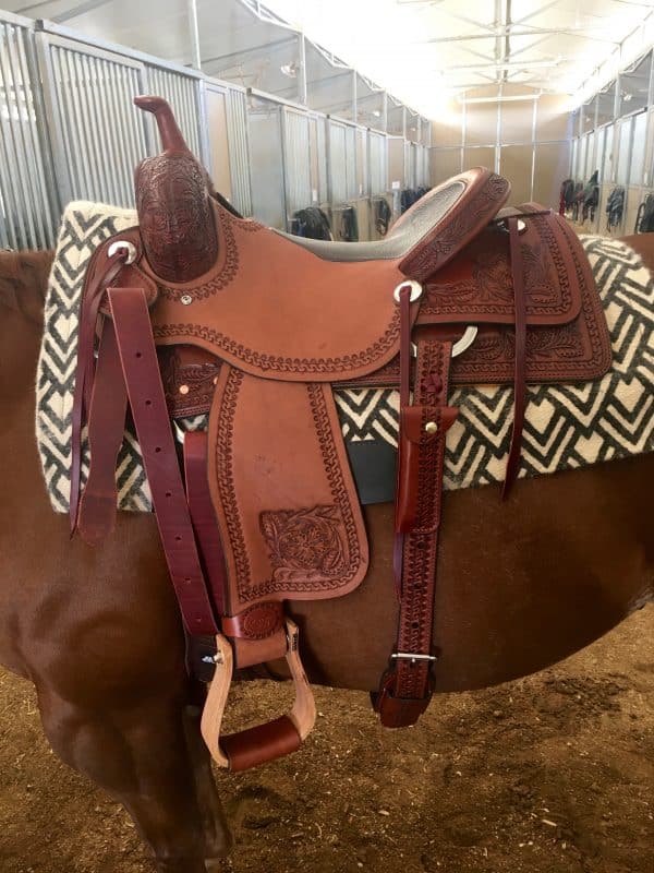 Saddle Pads On Sale Everyday at Horsetown!