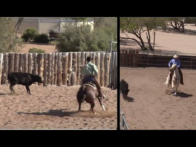 Down The Fence Cow Horse Dynamics Digital Version Al Dunning