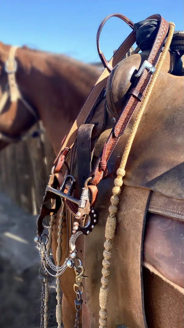 Ranch Riding Deluxe Bridle Set | Al Dunning