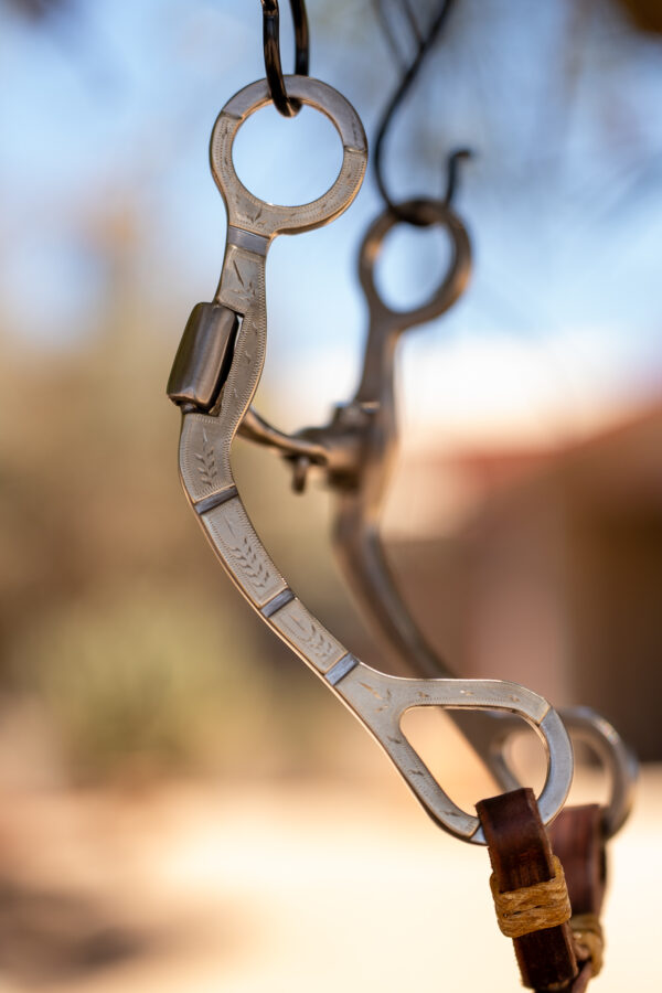 Dennis Moreland Steel and Silver C Shank Bit - Image 3