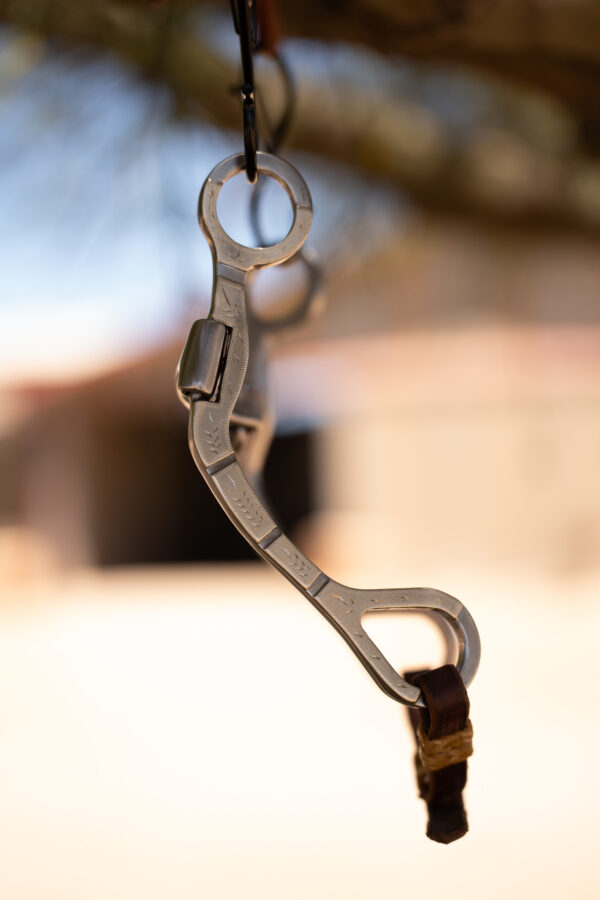 Dennis Moreland Steel and Silver C Shank Bit - Image 4