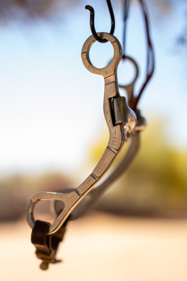 Dennis Moreland Steel and Silver C Shank Bit - Image 6