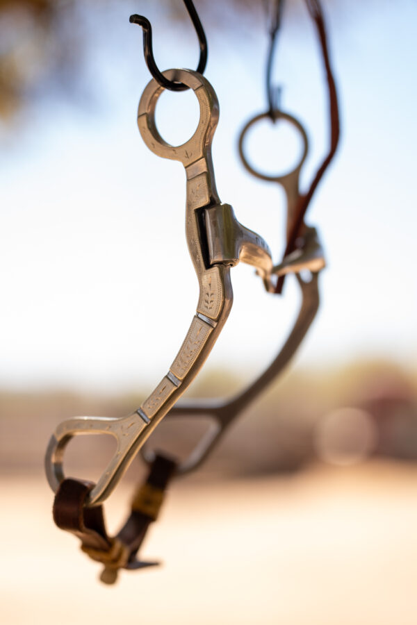 Dennis Moreland Steel and Silver C Shank Bit - Image 7