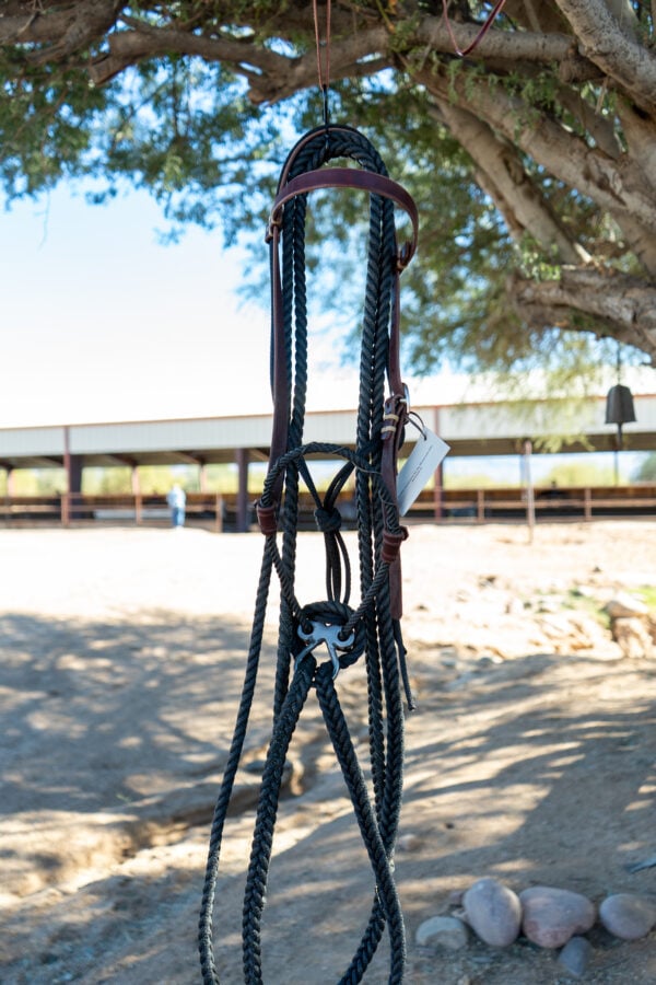 Bronc Willoughby Broncamore - Image 2