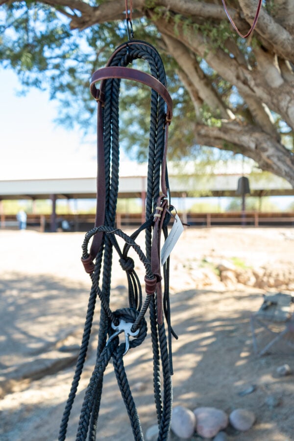 Bronc Willoughby Broncamore - Image 3