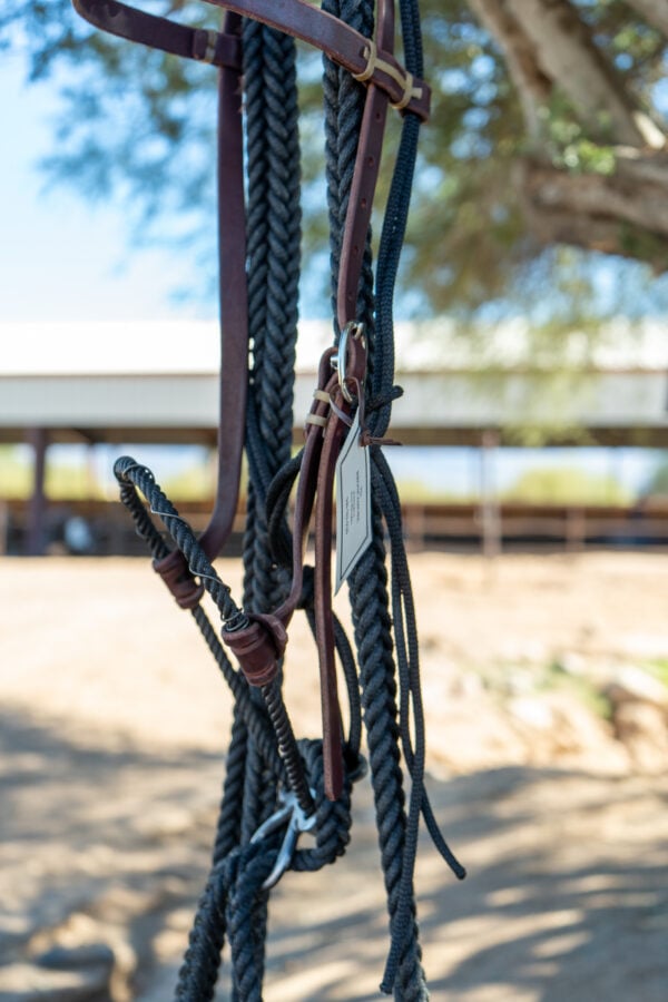 Bronc Willoughby Broncamore - Image 4