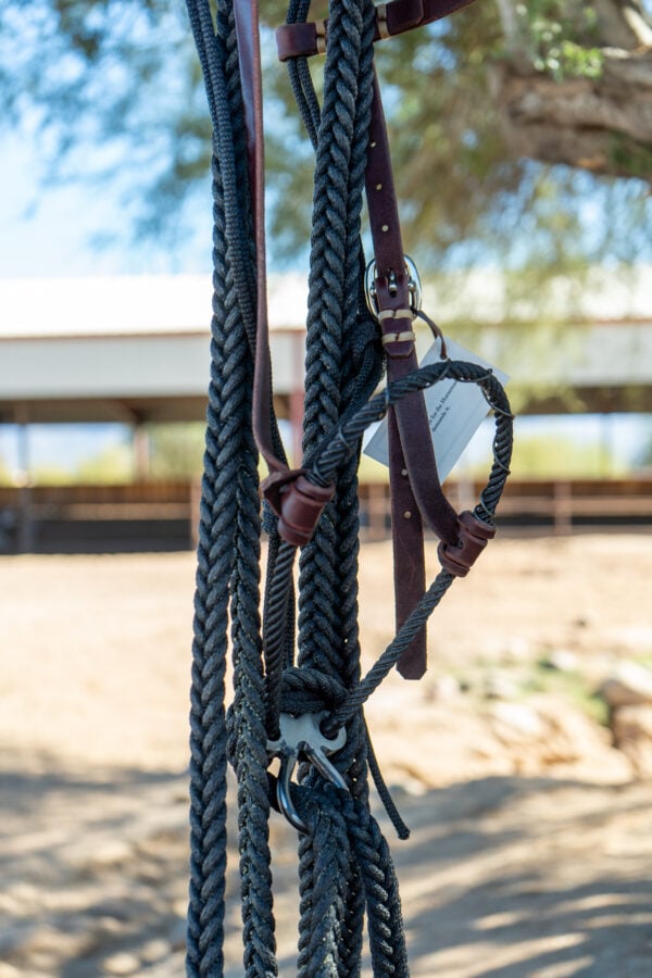 Bronc Willoughby Broncamore