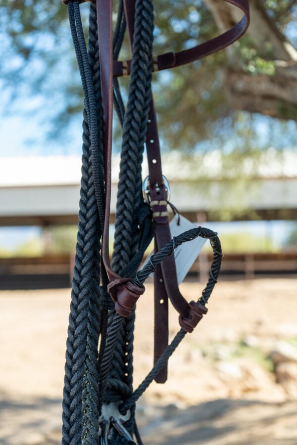 Bronc Willoughby Broncamore - Image 5