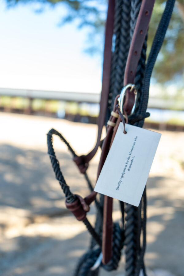Bronc Willoughby Broncamore - Image 6