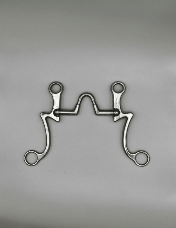 Kerry Kelley Bits & Spurs Al Dunning