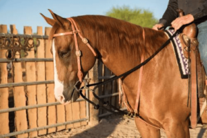 Draw Rope Martingale “The Black Rope” | Al Dunning