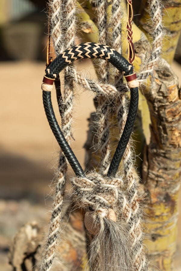 Claudia Kuendig Hackamore - Black & Tan - Image 2