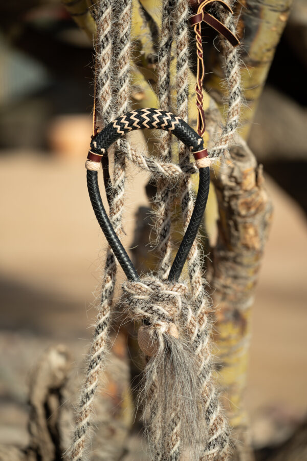 Claudia Kuendig Hackamore - Black & Tan - Image 3