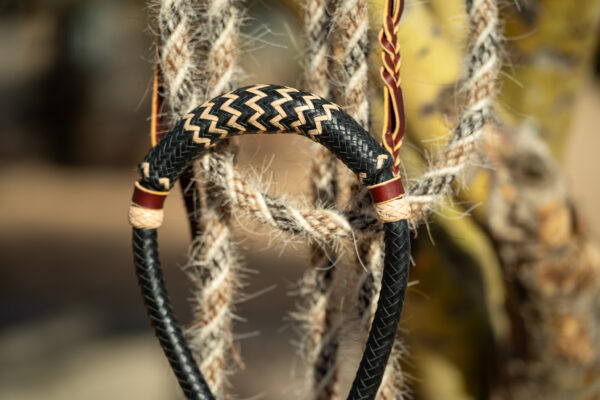 Claudia Kuendig Hackamore - Black & Tan - Image 4