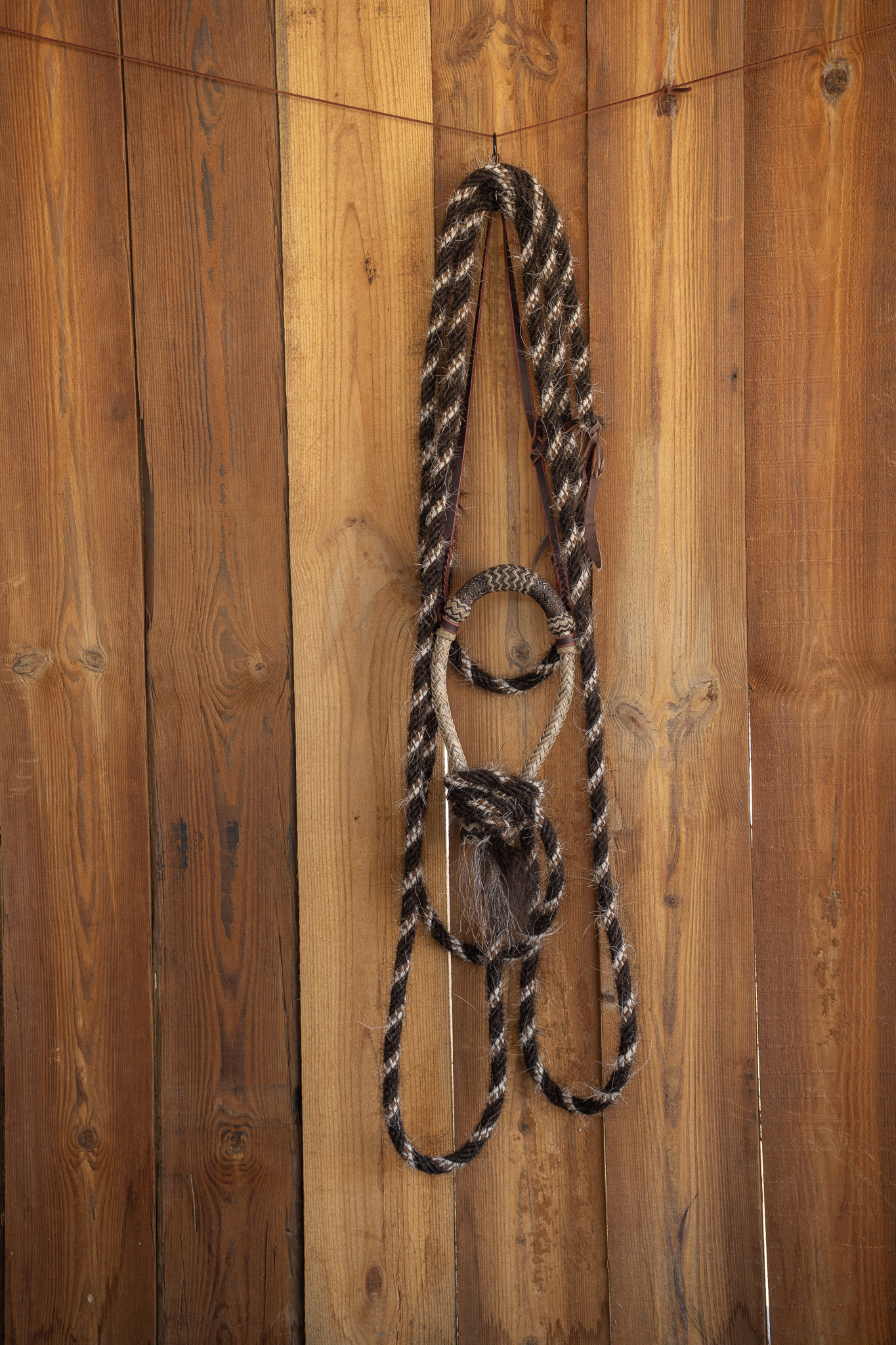 Sam Gemaehlich 5/8" Hackamore with Krause Mecate - Image 2