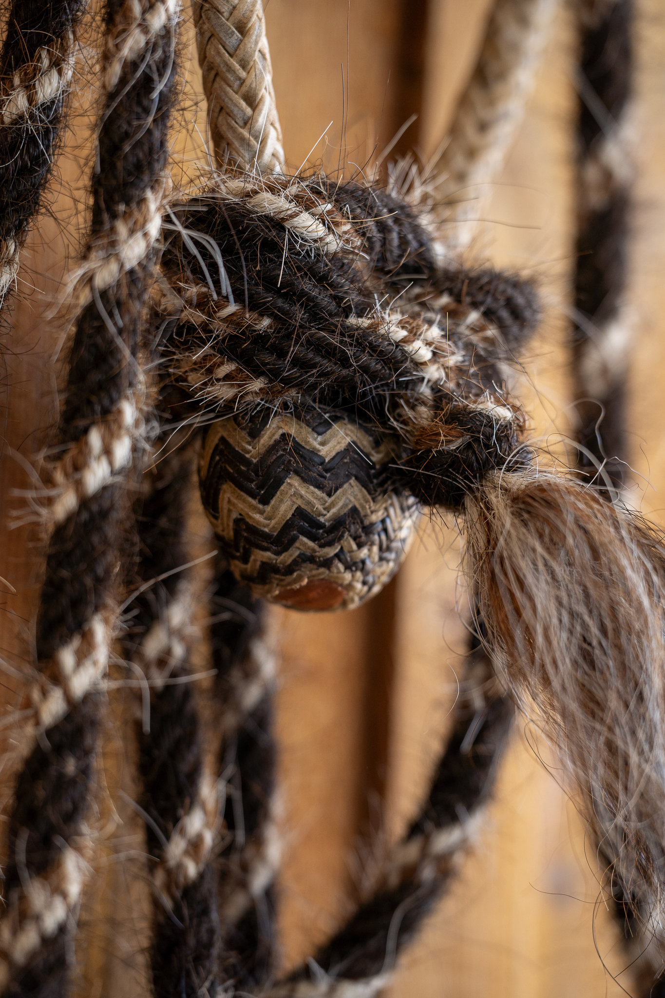 Sam Gemaehlich 5/8" Hackamore with Krause Mecate - Image 6