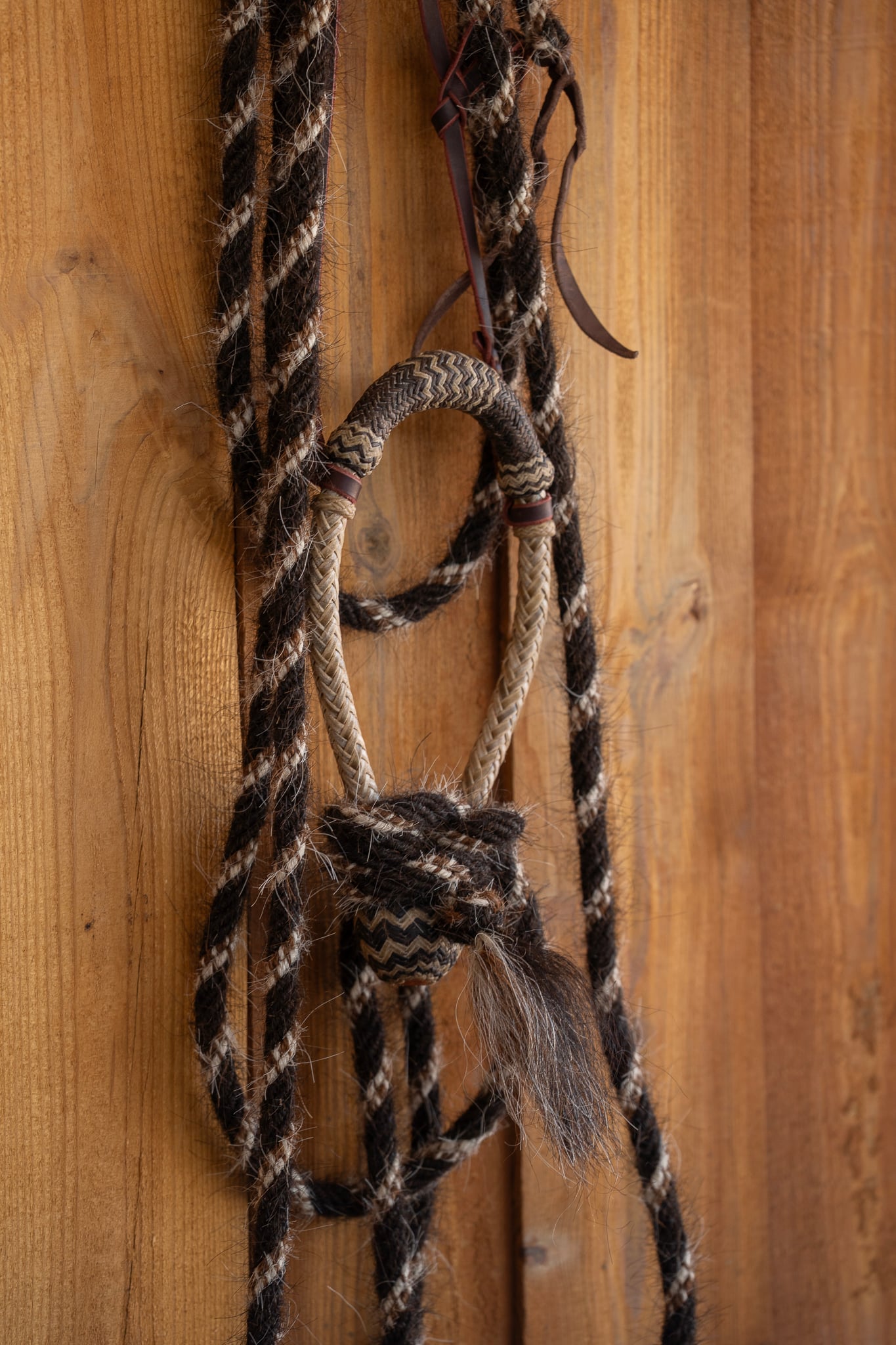 Sam Gemaehlich 5/8" Hackamore with Krause Mecate - Image 5
