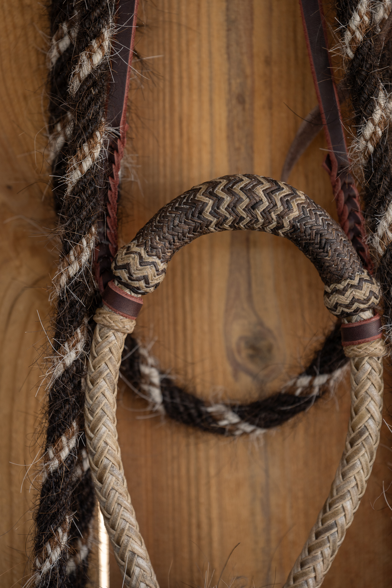 Sam Gemaehlich 5/8" Hackamore with Krause Mecate - Image 4