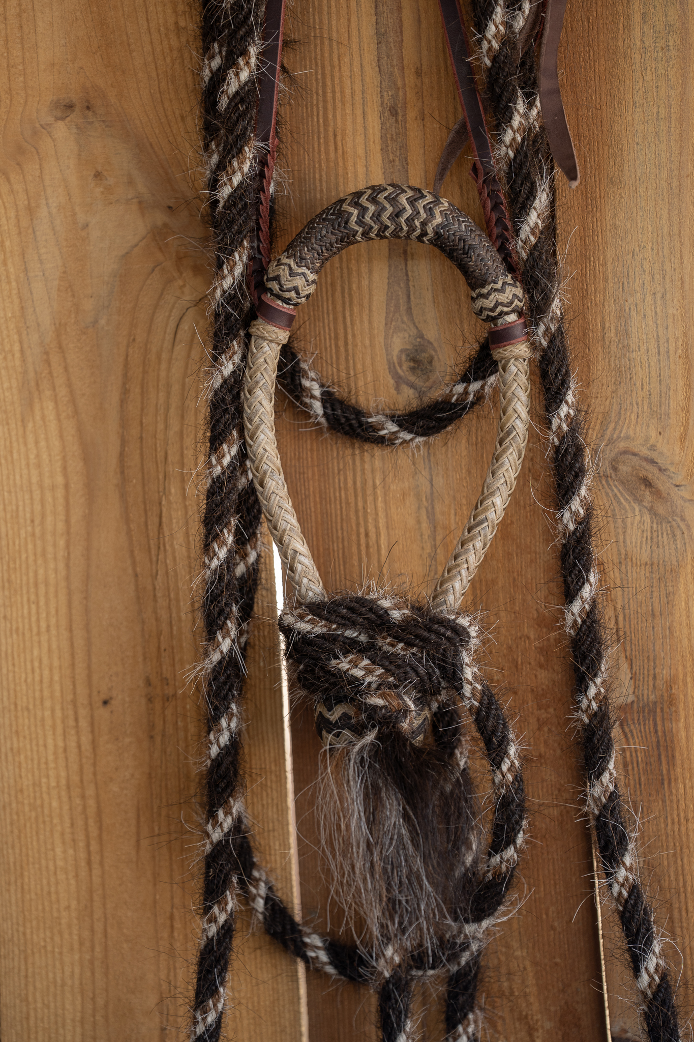 Sam Gemaehlich 5/8" Hackamore with Krause Mecate - Image 3