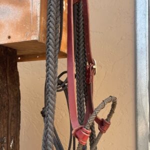 photo of leather headstall with lariat noseband, wrapped in wire. hanging on old mail box.