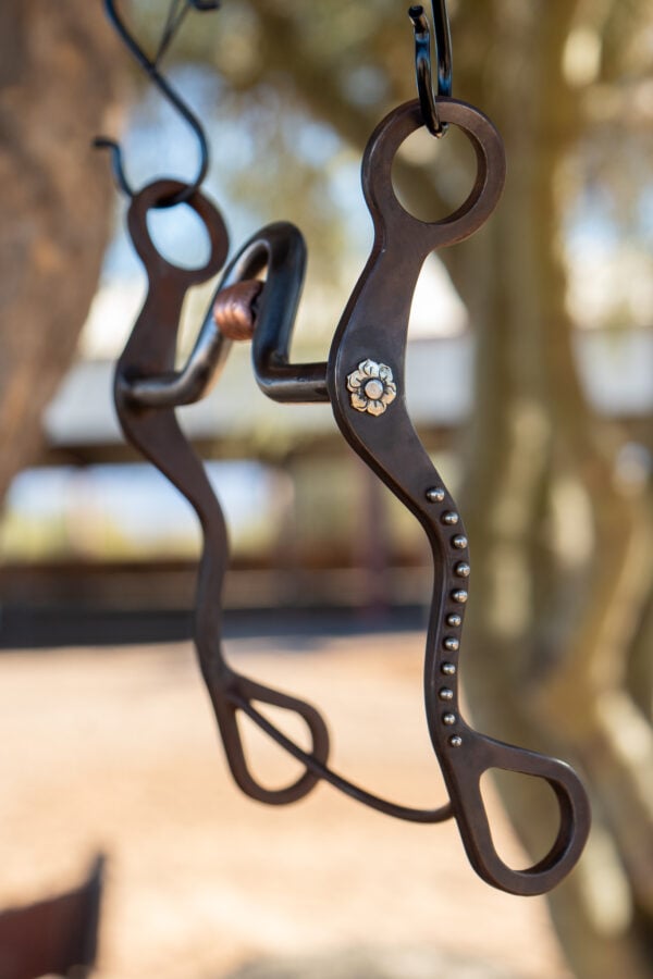 Preston Williams Magic Bit with Yandell Mouth Piece and Short Shank