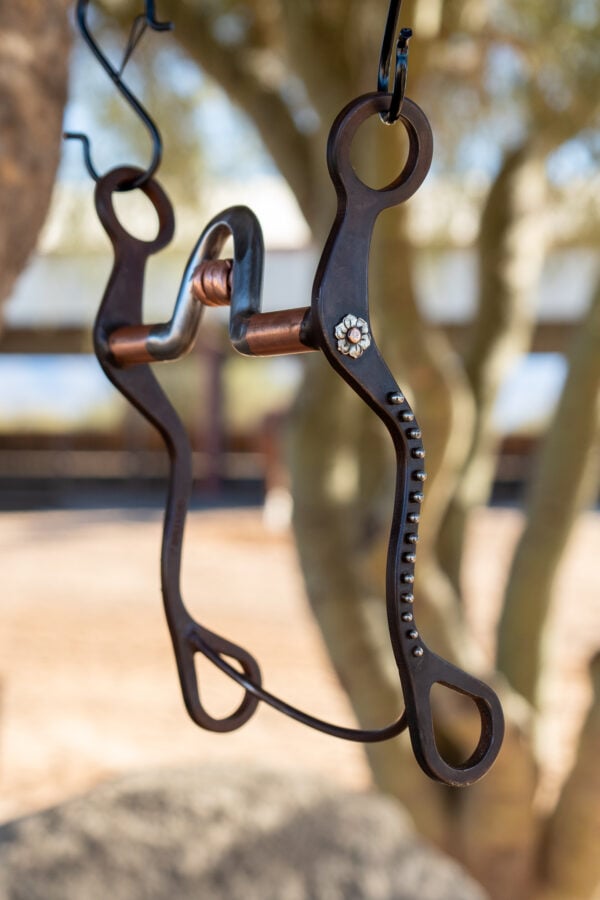 Preston Williams Magic Bit - Yandell Mouthpiece with Copper Bars