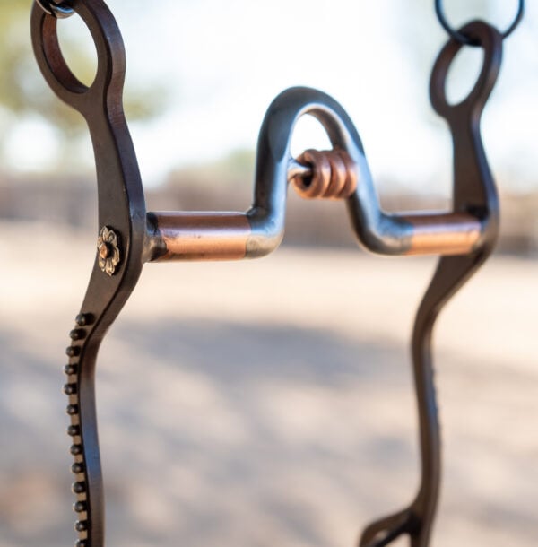 Preston Williams Magic Bit - Yandell Mouthpiece with Copper Bars - Image 4