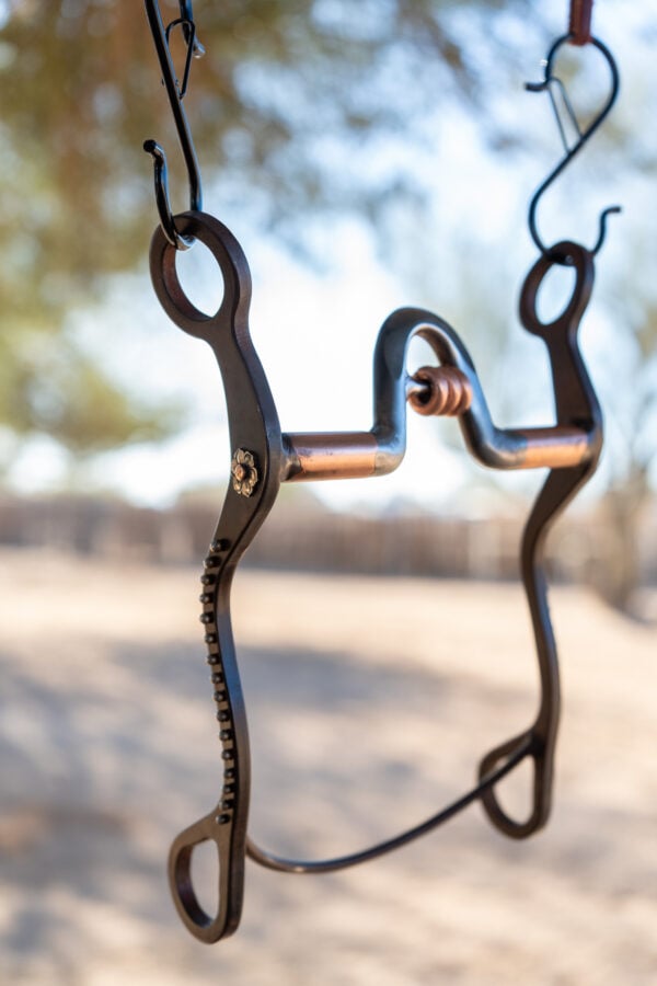 Preston Williams Magic Bit - Yandell Mouthpiece with Copper Bars - Image 2
