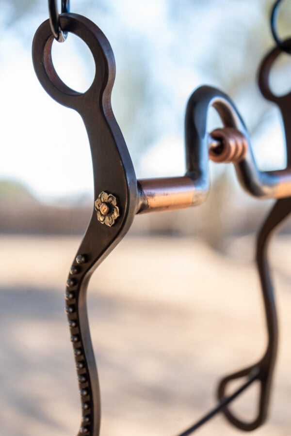 Preston Williams Magic Bit - Yandell Mouthpiece with Copper Bars - Image 3
