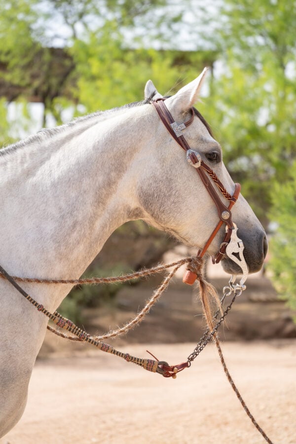 Two Rein Bridle Set - Image 2