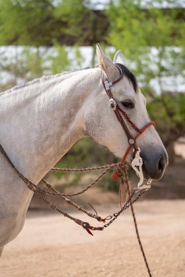 Two Rein Bridle Set - Image 3