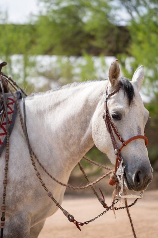 Two Rein Bridle Set