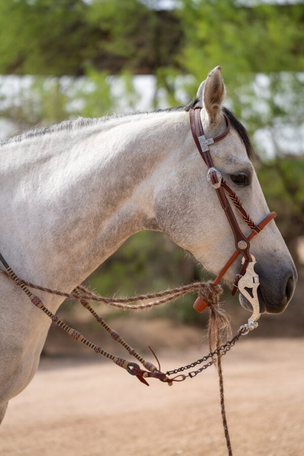 Two Rein Bridle Set - Image 5