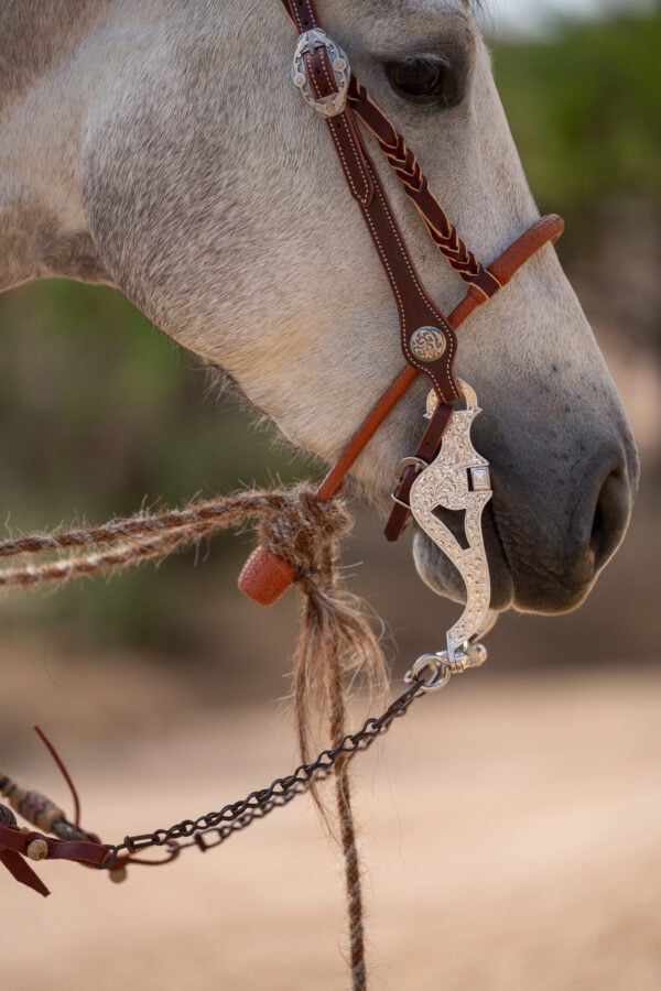 Two Rein Bridle Set - Image 6