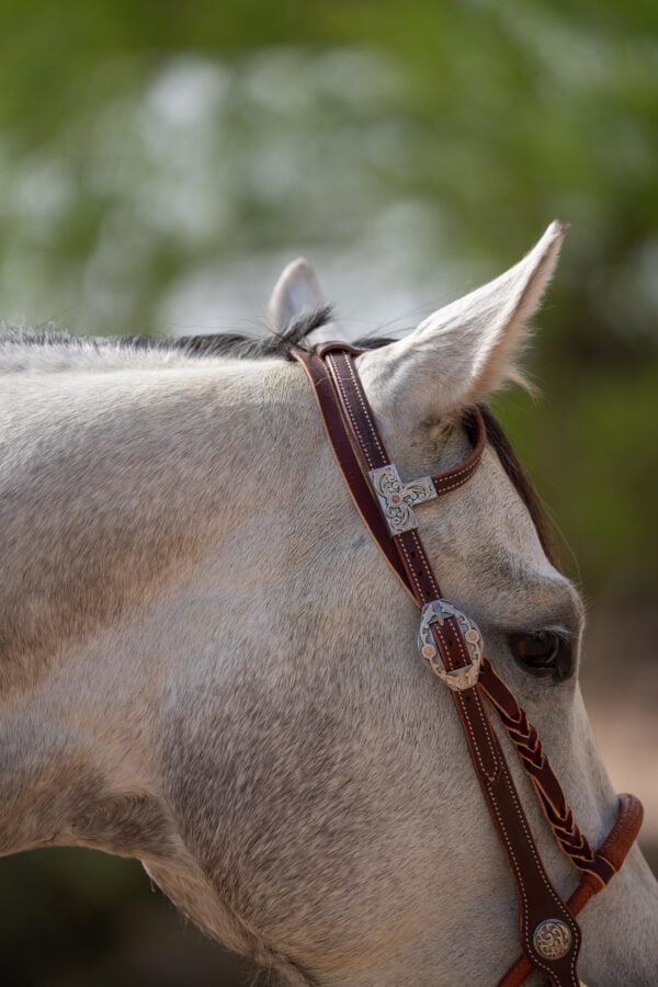 Two Rein Bridle Set - Image 7