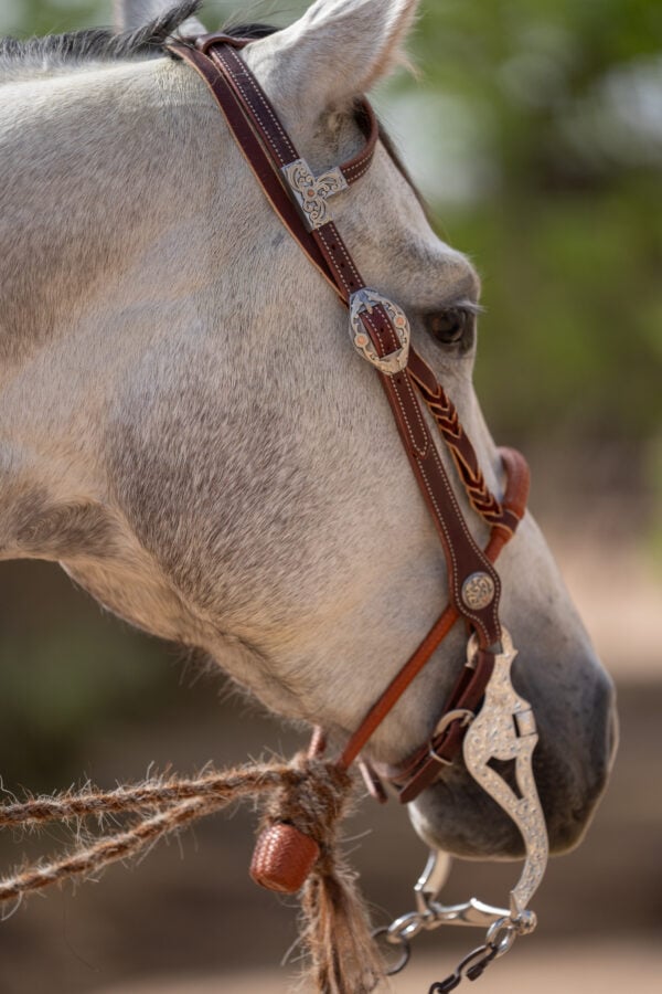 Two Rein Bridle Set - Image 8