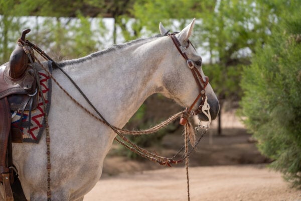 Two Rein Bridle Set - Image 9