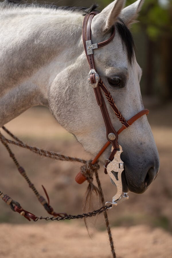 Two Rein Bridle Set - Image 13