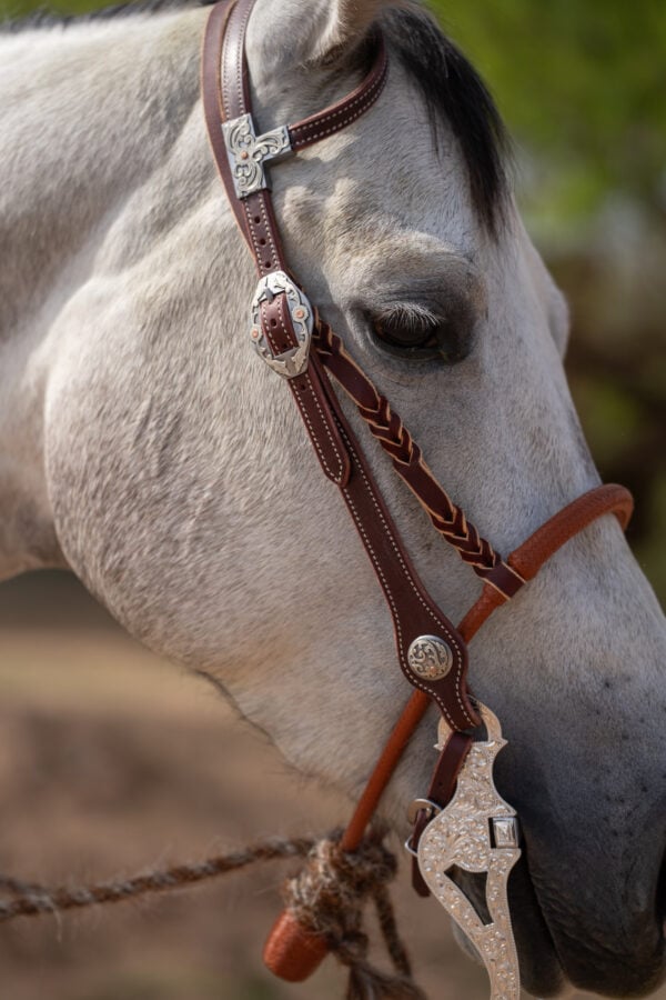 Two Rein Bridle Set - Image 14