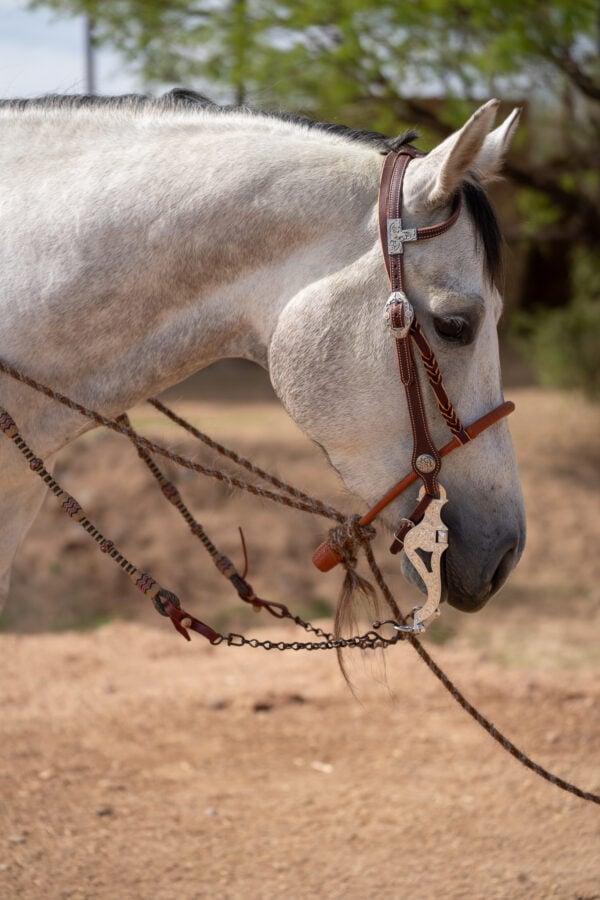 Two Rein Bridle Set - Image 17