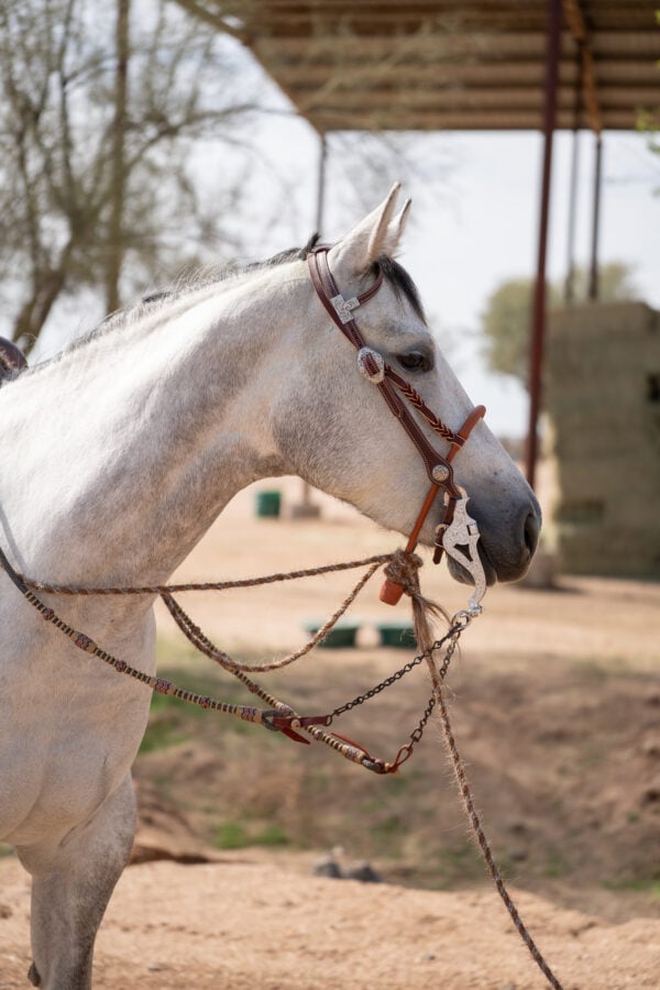 Two Rein Bridle Set - Image 15