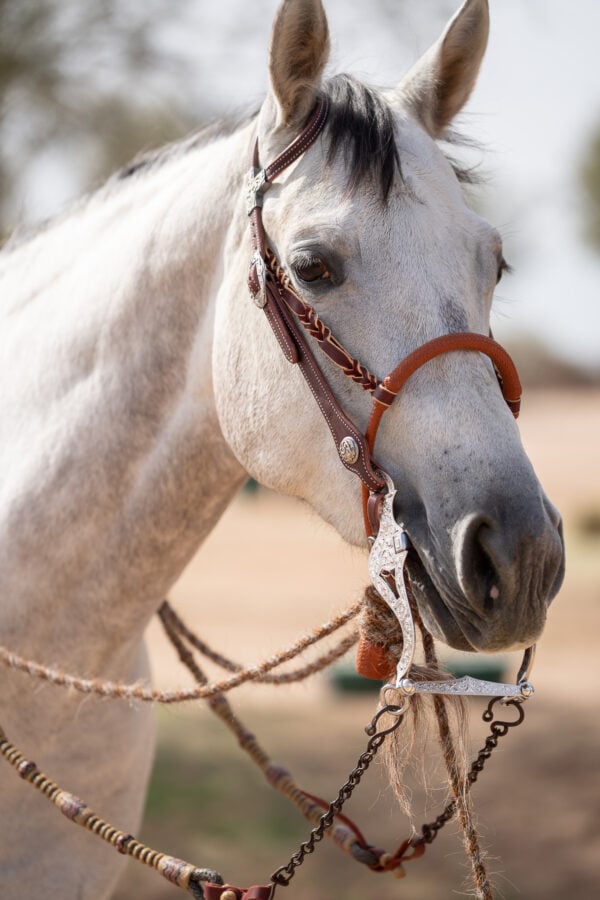 Two Rein Bridle Set - Image 16