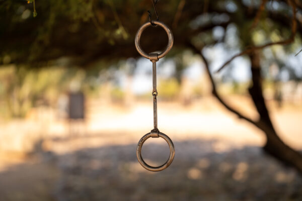 Tim Daly Handmade Snaffle - Image 13