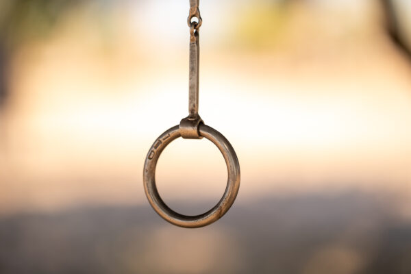 Tim Daly Handmade Snaffle - Image 10
