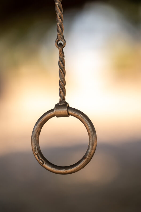 Tim Daly Handmade Snaffle - Image 7