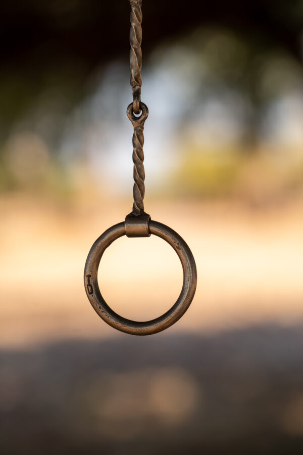 Tim Daly Handmade Snaffle - Image 4